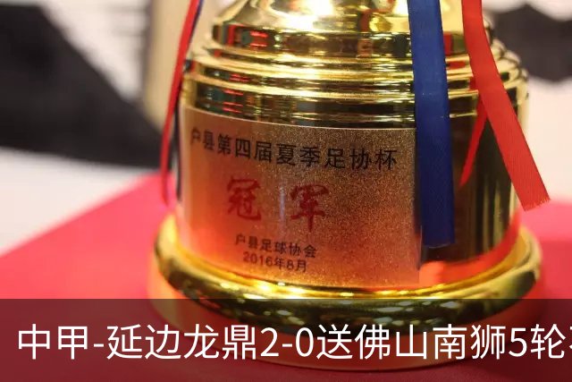 中甲-延边龙鼎2-0送佛山南狮5轮不胜 多明戈斯角球破门徐继祖建功