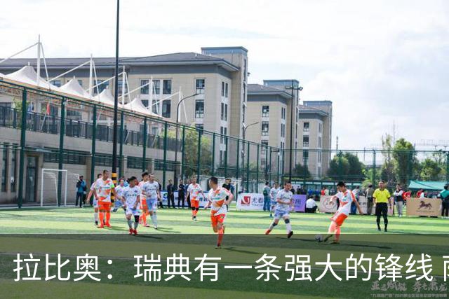 拉比奥：瑞典有一条强大的锋线 萨利巴的情况并不乐观